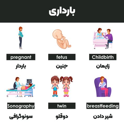 پستان به انگلیسی|More.